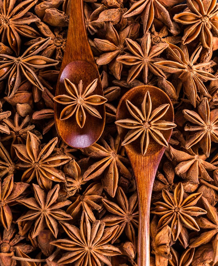 anise spices seeds sprockets 247113.jpeg